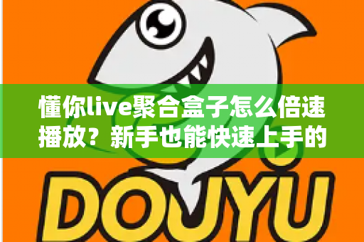 懂你live聚合盒子怎么倍速播放？新手也能快速上手的完整操作指南与实用技巧分享