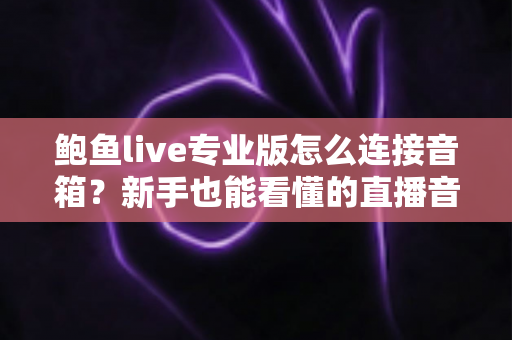 鲍鱼live专业版怎么连接音箱?新手也能看懂的直播音响连接全攻略与音质优化指南 鲍鱼live专业版怎么连接音箱?新手也能看懂的直播音响连接全攻略与音质优化指南