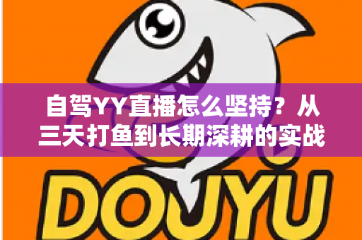 自驾YY直播怎么坚持？从三天打鱼到长期深耕的实战攻略与心态修炼指南