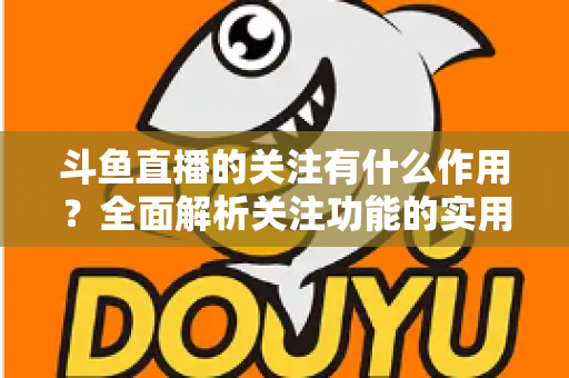 斗鱼直播的关注有什么作用？全面解析关注功能的实用价值与涨粉逻辑