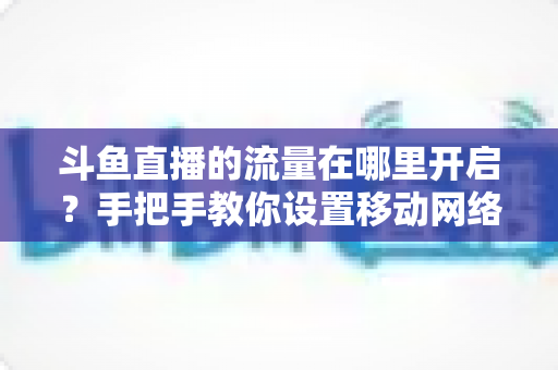 斗鱼直播的流量在哪里开启？手把手教你设置移动网络播放与实用省流攻略