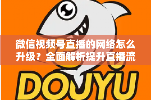 微信视频号直播的网络怎么升级?全面解析提升直播流畅度的实用方法 微信视频号直播的网络怎么升级?全面解析提升直播流畅度的实用方法