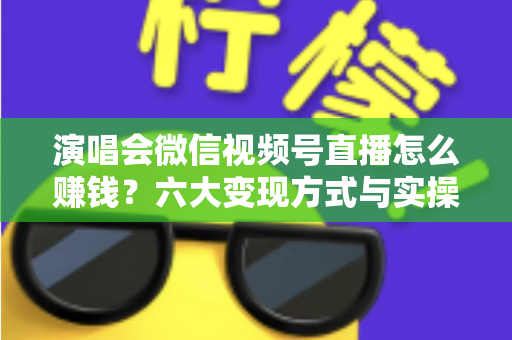 演唱会微信视频号直播怎么赚钱？六大变现方式与实操指南全面解析