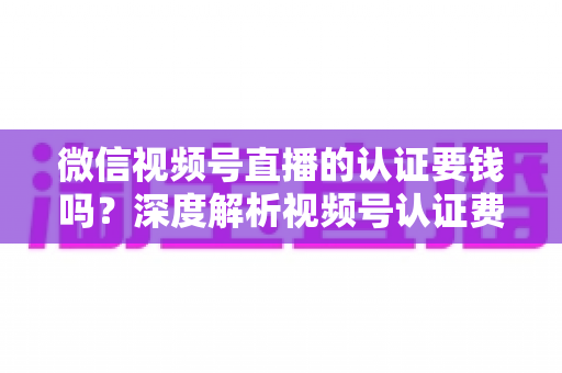 微信视频号直播的认证要钱吗？深度解析视频号认证费用、申请条件与完整流程指南