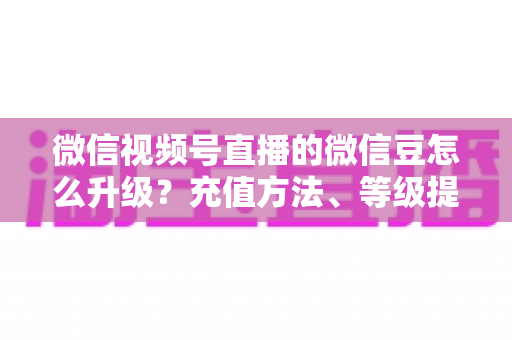 微信视频号直播的微信豆怎么升级？充值方法、等级提升与使用技巧全解析