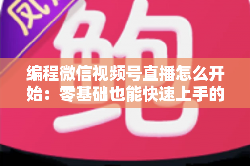 编程微信视频号直播怎么开始：零基础也能快速上手的开播全攻略