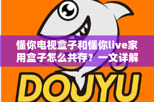 懂你电视盒子和懂你live家用盒子怎么共存？一文详解双盒子和谐共处全攻略